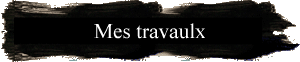 Mes travaulx