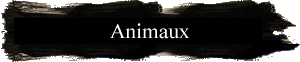 Animaux